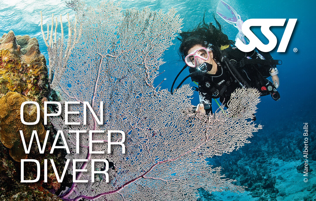 SSI Open Water Diver Title Card