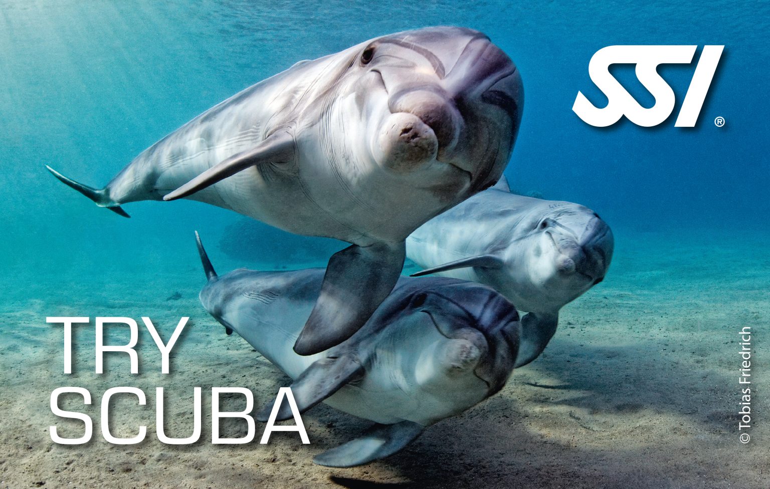 SSI Try Scuba Card