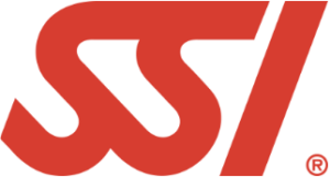 SSI Logo