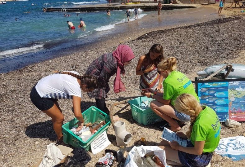 Beach Clean Up